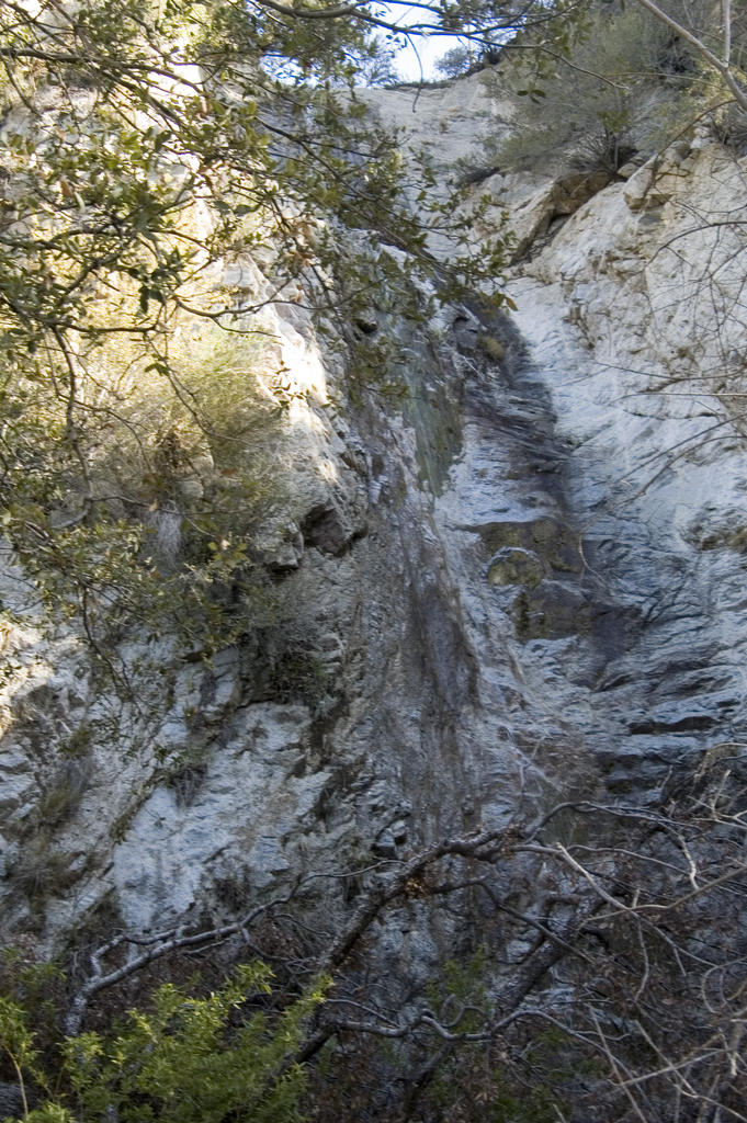 DSC_6082.jpg