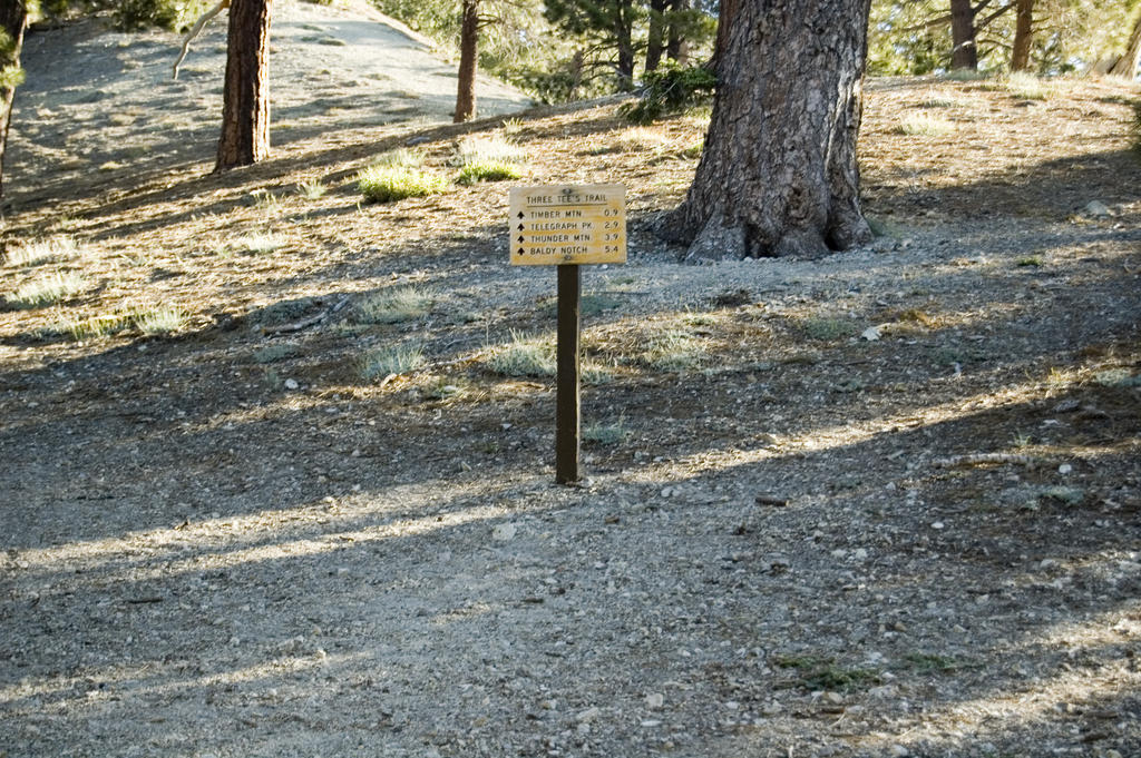 DSC_8143.jpg