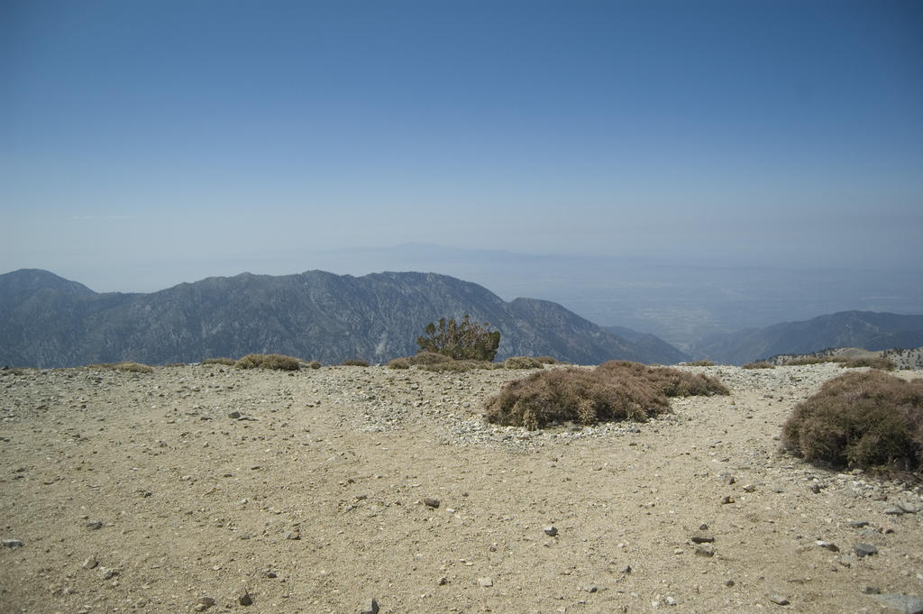 DSC_9291.JPG