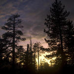 San Gorgonio Backpacking Trip